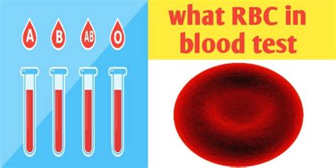 what is rbc in blood test.